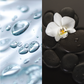 NATURAL ROLL-ON DEODORANT WHITE MUSK
