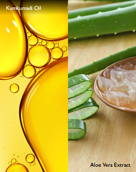 NATURAL ALOE VERA GEL WITH KUMKUMADI THAILAM